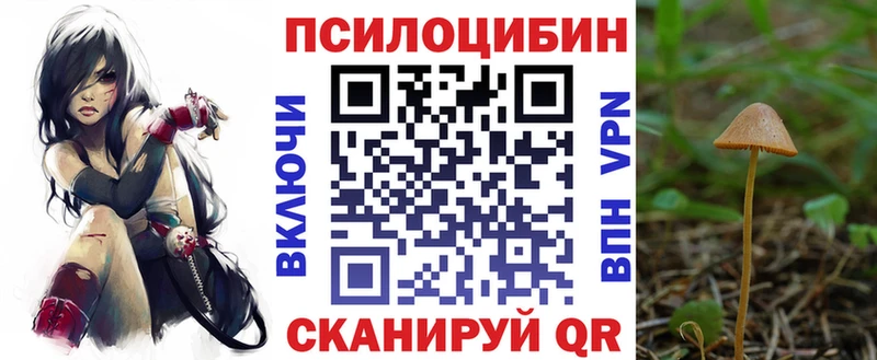 Купить  Кораблино  Галлюциногенные грибы GOLDEN TEACHER 